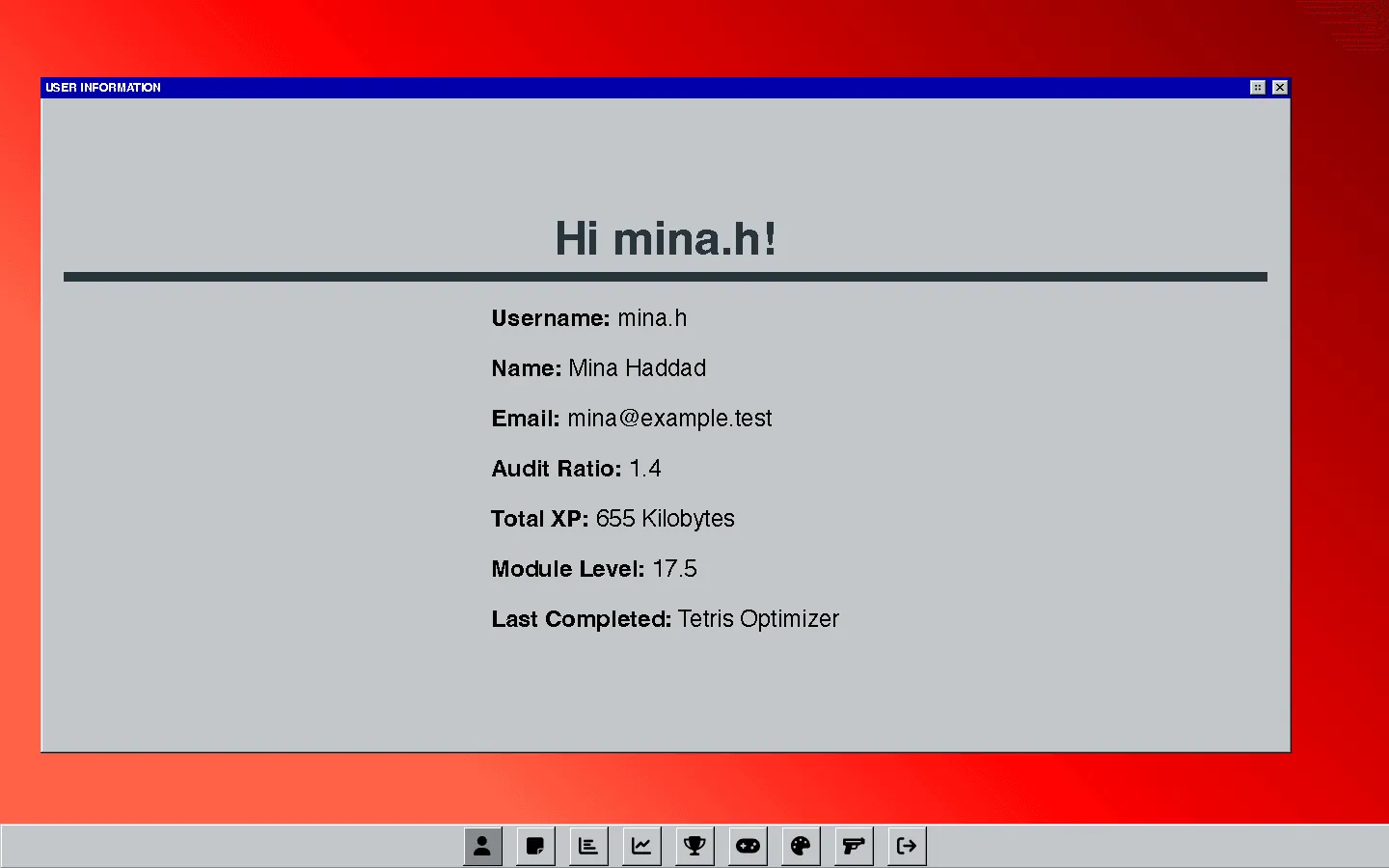 The user information window at full size, showing a demo username, name, audit ratio, total XP, module level and last completed project.